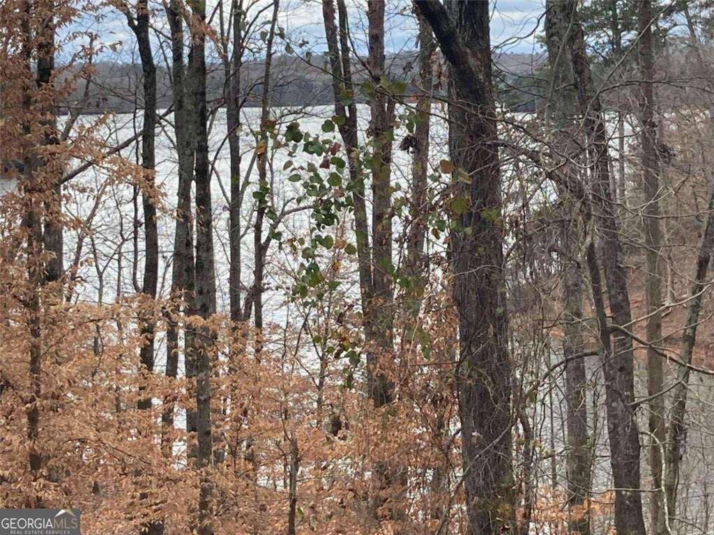 Photo of 2510 Hidden Cove Court, Gainesville, GA 30501 (MLS # 10814488)