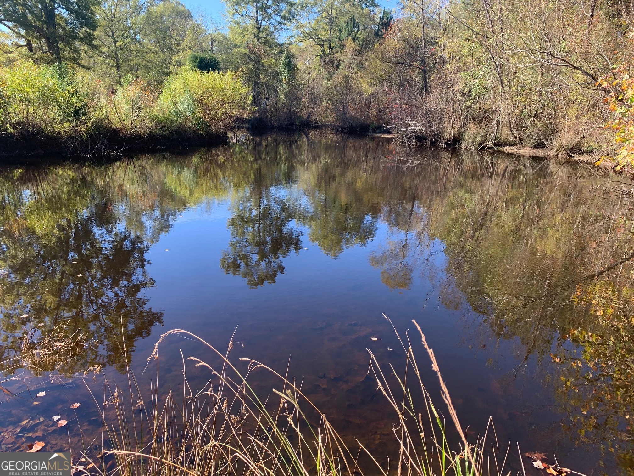 725 County Line Church RD