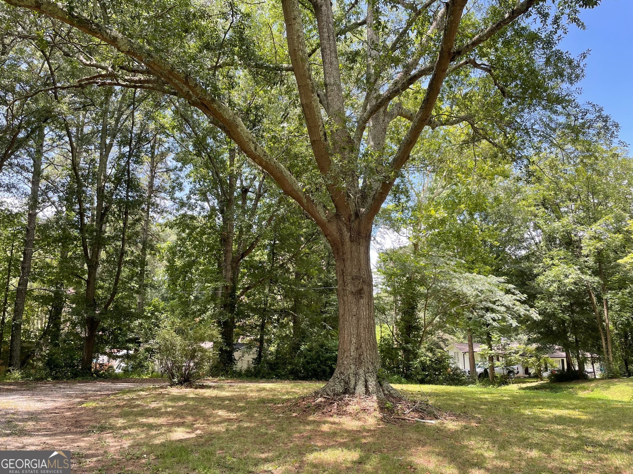 117 Chester Harris DR