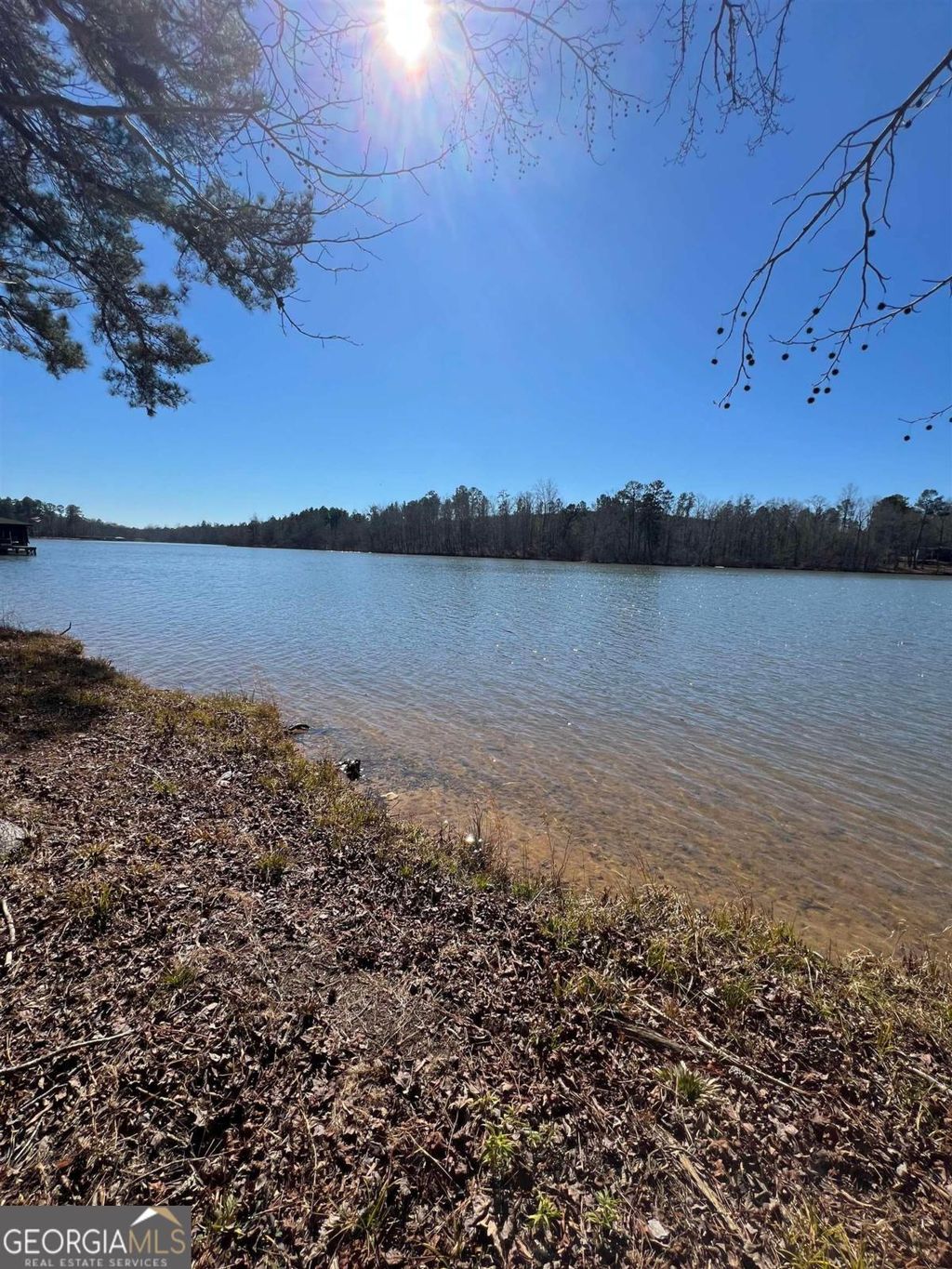 Photo of 137 Lake Crest Drive, Sparta, GA 31087 (MLS # 10687197)