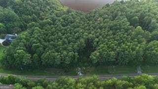 Photo of LOT B Brush Creek Road, Colbert, GA 30628 (MLS # 10818766)