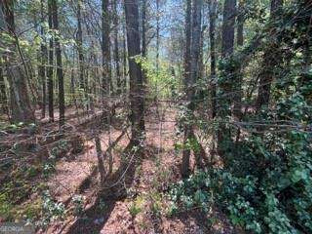 Photo of 0 Troupe Smith Road SW, Conyers, GA 30094 (MLS # 10667505)