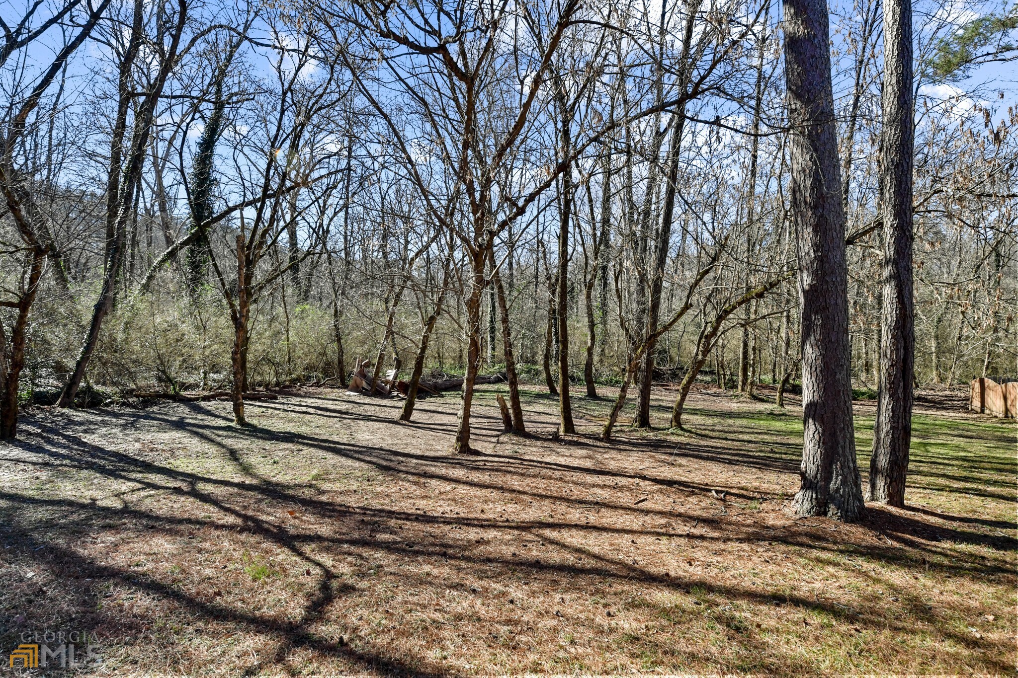 Windsor At Peachtree - Residential