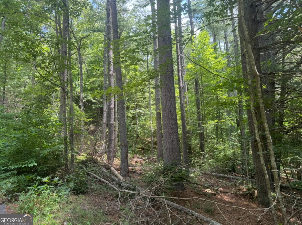 Nestled in the heart of the North Georgia mountains, this 3.19-acre unrestricted parcel offers incredible flexibility and breathtaking natural beauty. Located just minutes from downtown Hiawassee, Lake Chatuge, and the Appalachian Trail, this property is perfect for your dream home, RV, tiny home, mobile home, or even a weekend wooded area providing privacy and endless potential. No HOA and no restrictions. If you're seeking a serene retreat this rare find offers freedom, peace, and mountain charm all in one.