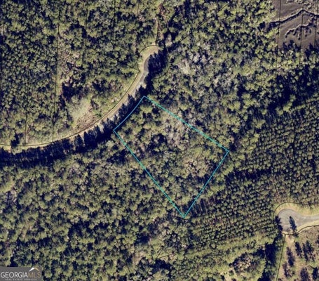 LOT 86 LA SOLE LANE, WAVERLY, GA 31565 - Image 5daf10b14ba768298ecf2dbdfd9bdc2e/2226518810