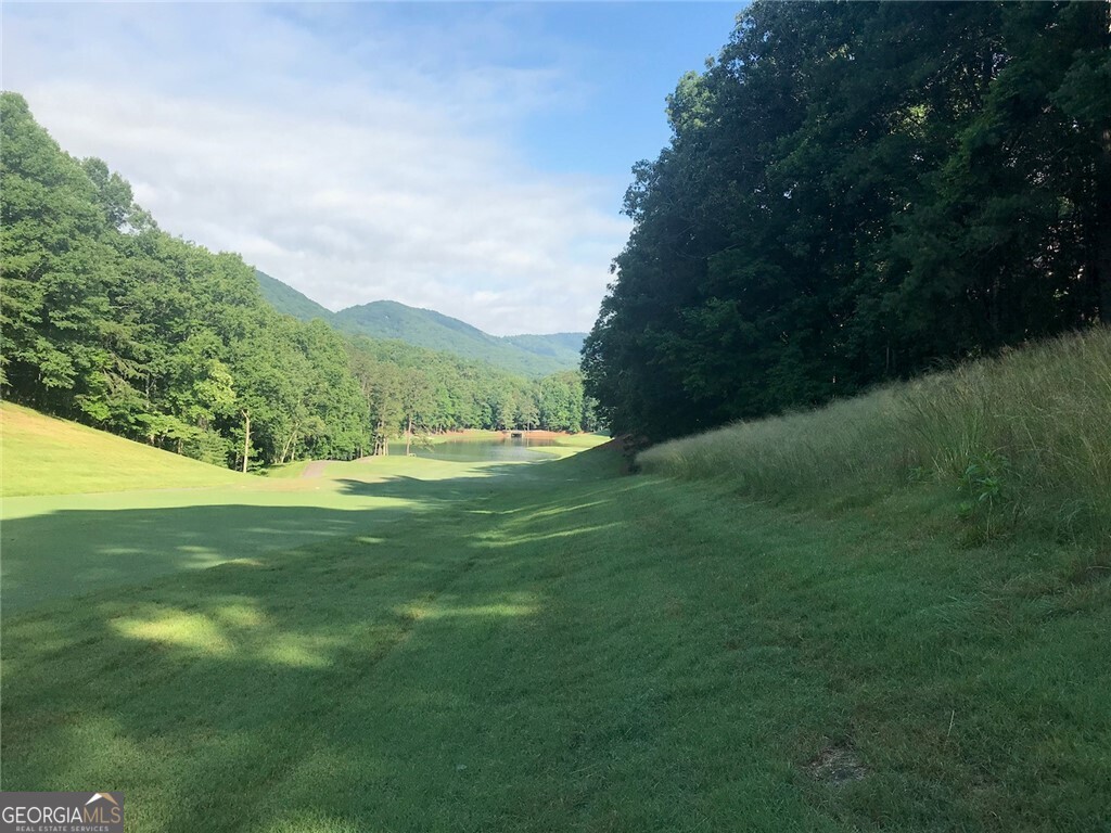 ENJOY THE BREATHTAKING BEAUTY OF BIG CANOE! LARGE LOT ON SECOND HOLE OF CREEK GOLF COURSE. GORGEOUS SEASONAL VIEWS. EASY BUILDING SITE. CONVENIENT AND CENTRAL LOCATION NEAR VILLAGE. QUICK ACCESS TO ALL AMENITIES. LESS THAN 10 MIN FROM NORTH GATE.