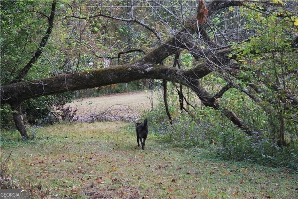 Photo of 4271 Panthersville Road, Ellenwood, GA 30294 (MLS # 10728961)