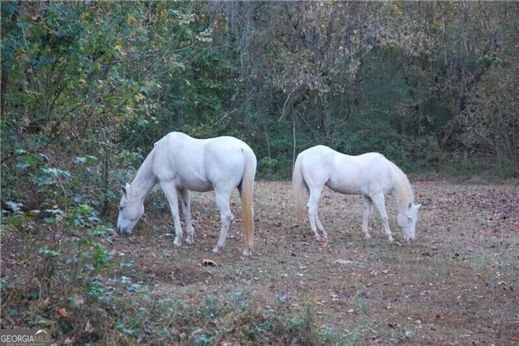 Photo of 4271 Panthersville Road, Ellenwood, GA 30294 (MLS # 10728961)