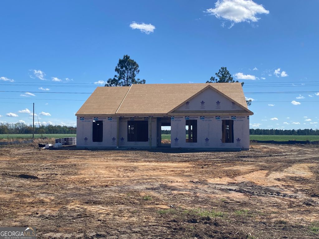 Photo of 222 Manchester Drive, Statesboro, GA 30461 (MLS # 10715414)