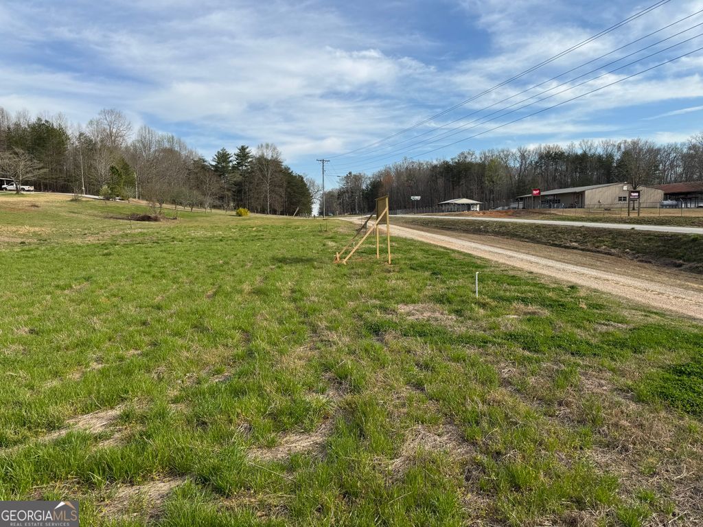Photo of 0 Hwy 17 Tract 2, Clarkesville, GA 30523 (MLS # 10756186)
