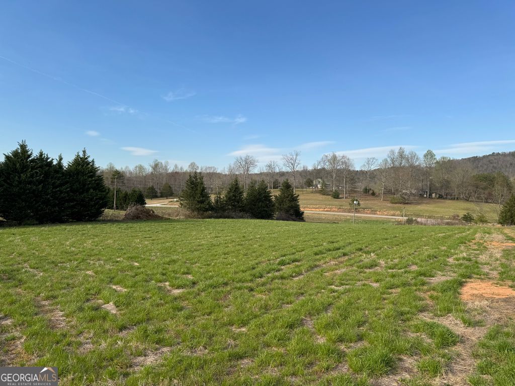 Photo of 0 Hwy 17 Tract 2, Clarkesville, GA 30523 (MLS # 10756186)
