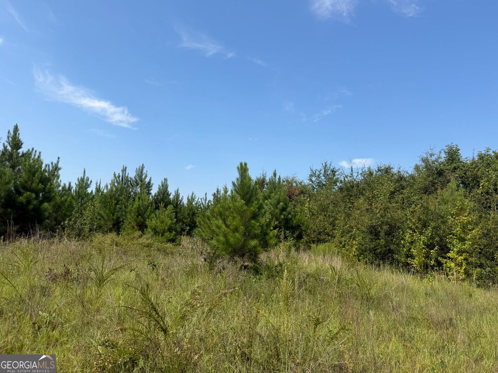 Photo of 5 Long Branch Road, Toomsboro, GA 31090 (MLS # 10841321)