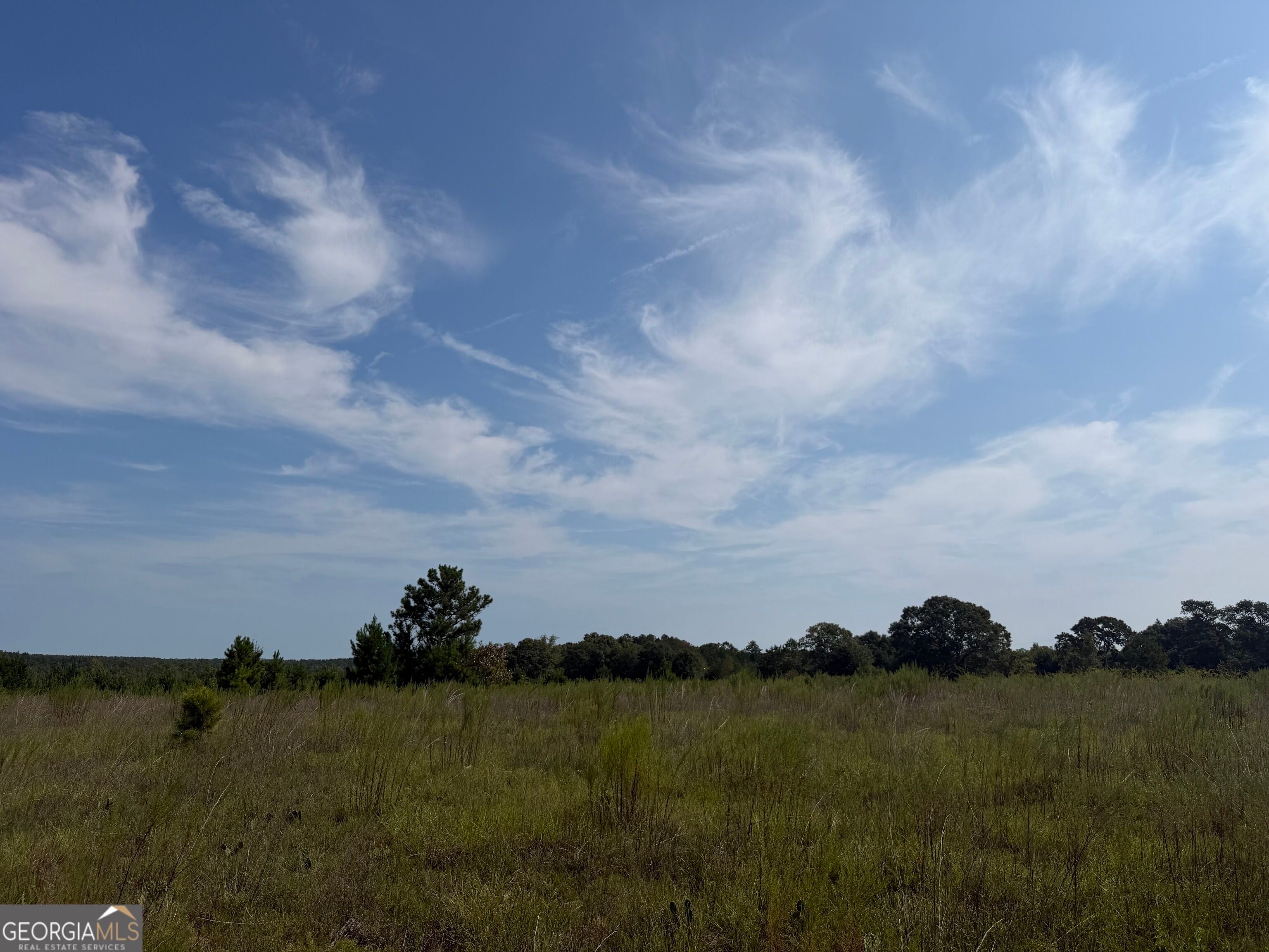 005 Long Branch Road