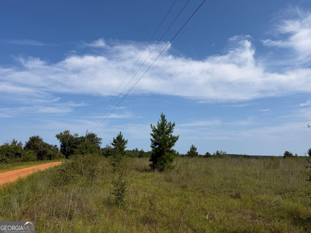 Photo of 5 Long Branch Road, Toomsboro, GA 31090 (MLS # 10841321)