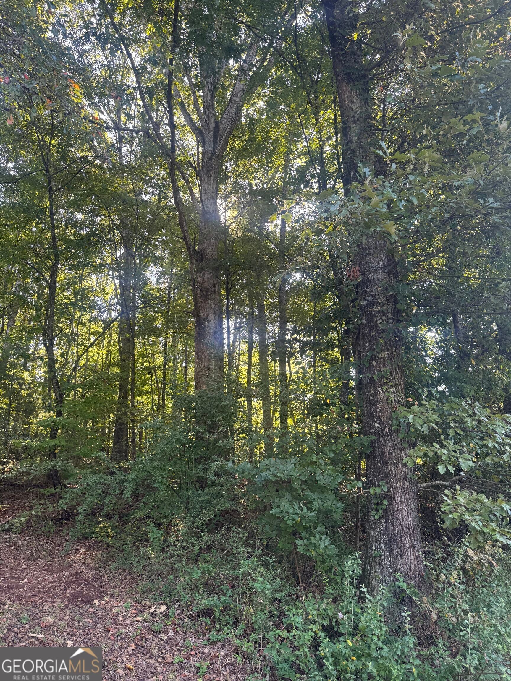 LOT 5 Roberts Ridge Road