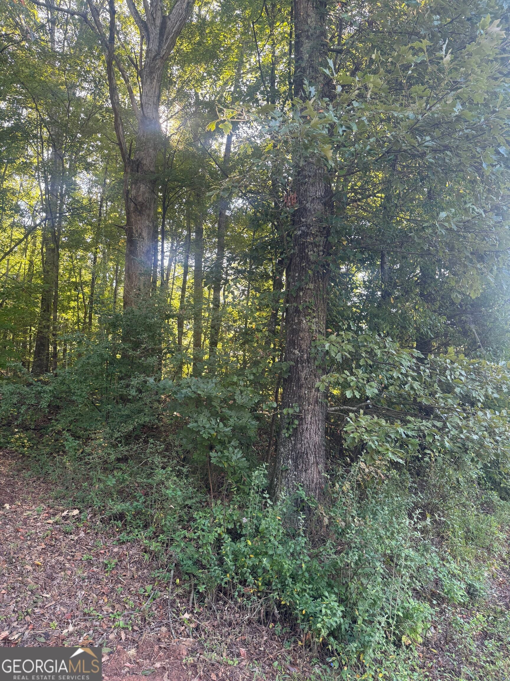 LOT 5 Roberts Ridge Road