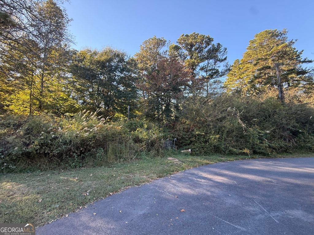 Photo of 10 S Villa Road, Villa Rica, GA 30180 (MLS # 10629609)