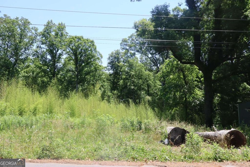 Photo of 4820 Camp Highland Road SE, Smyrna, GA 30082 (MLS # 10767240)