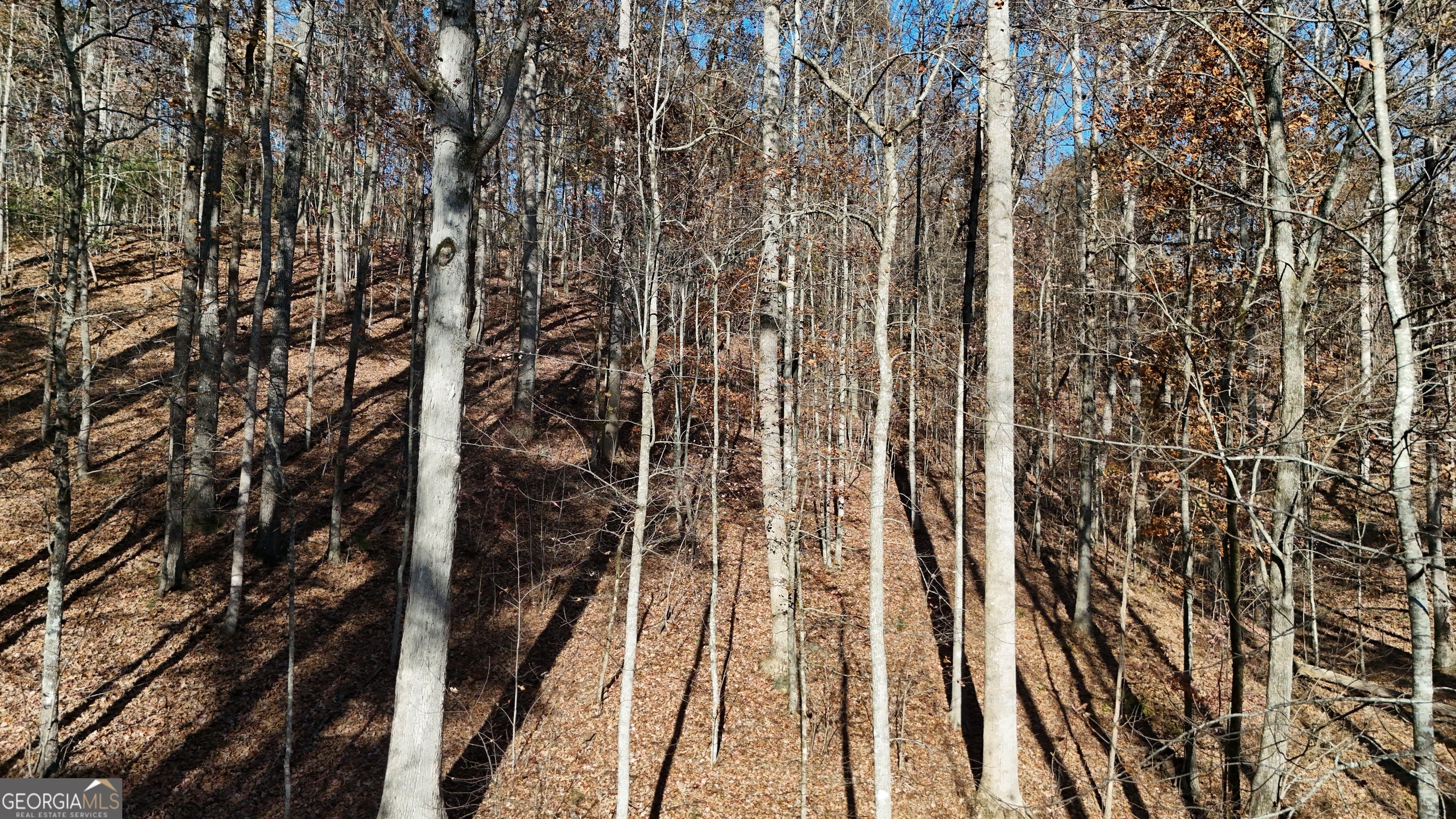 LOT 198 Northshore DR