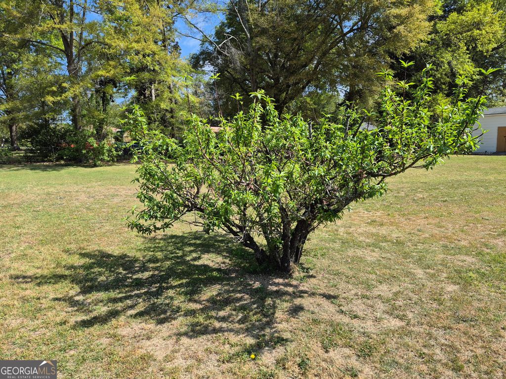 Photo of 13 Marshall Street, Butler, GA 31006 (MLS # 10722017)