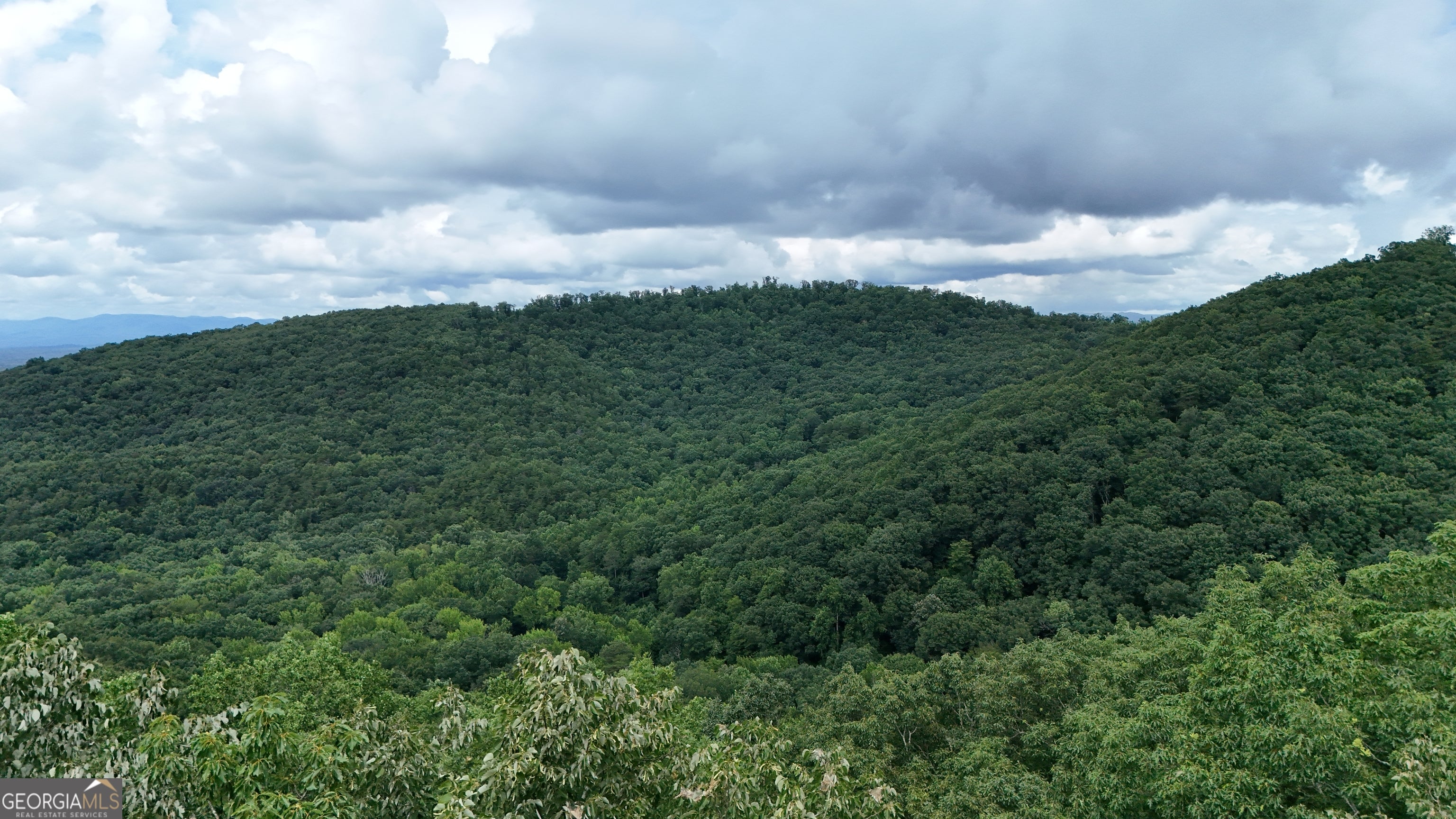LOT 253 Stone Cliff DR