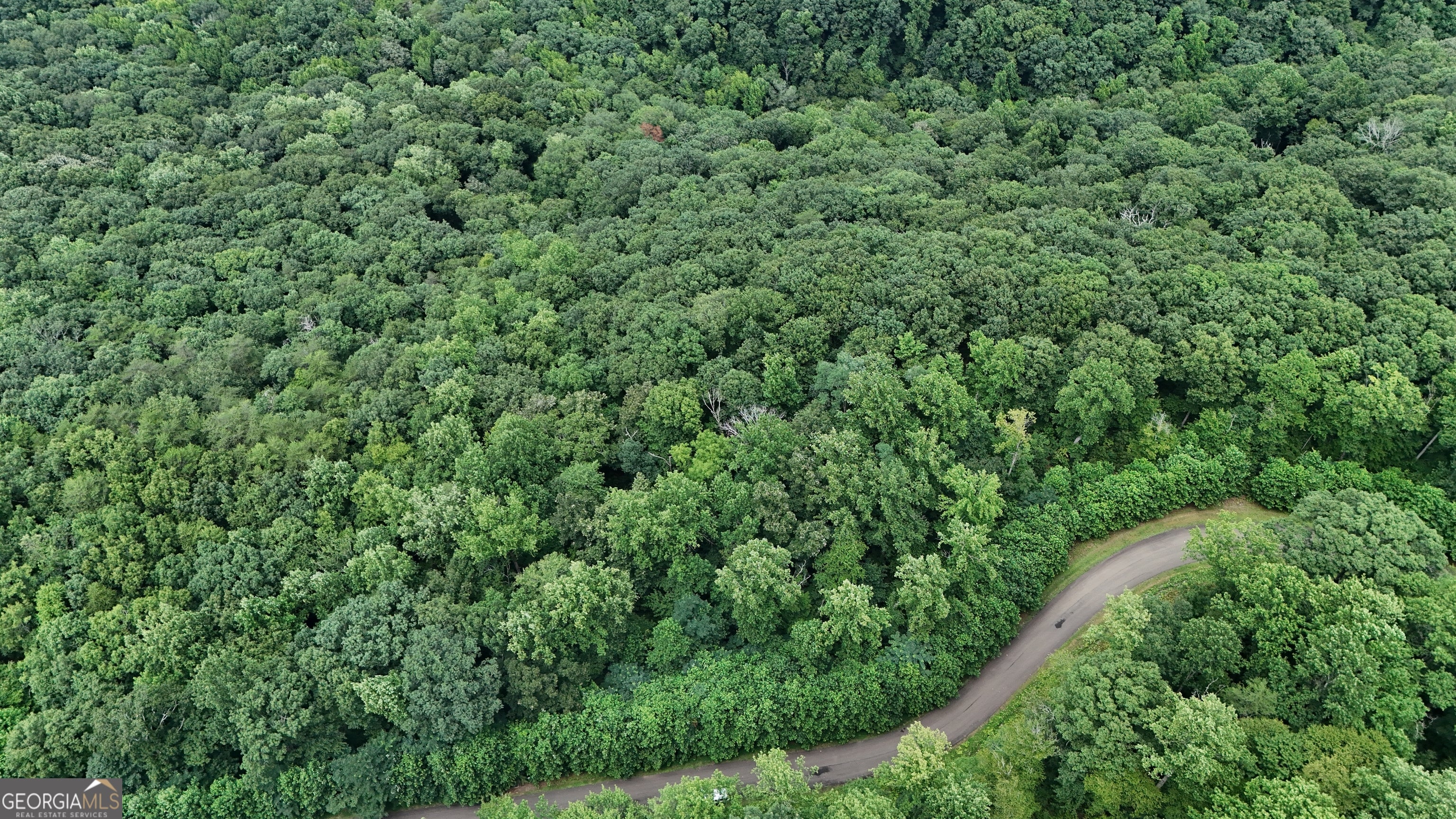 LOT 253 Stone Cliff DR