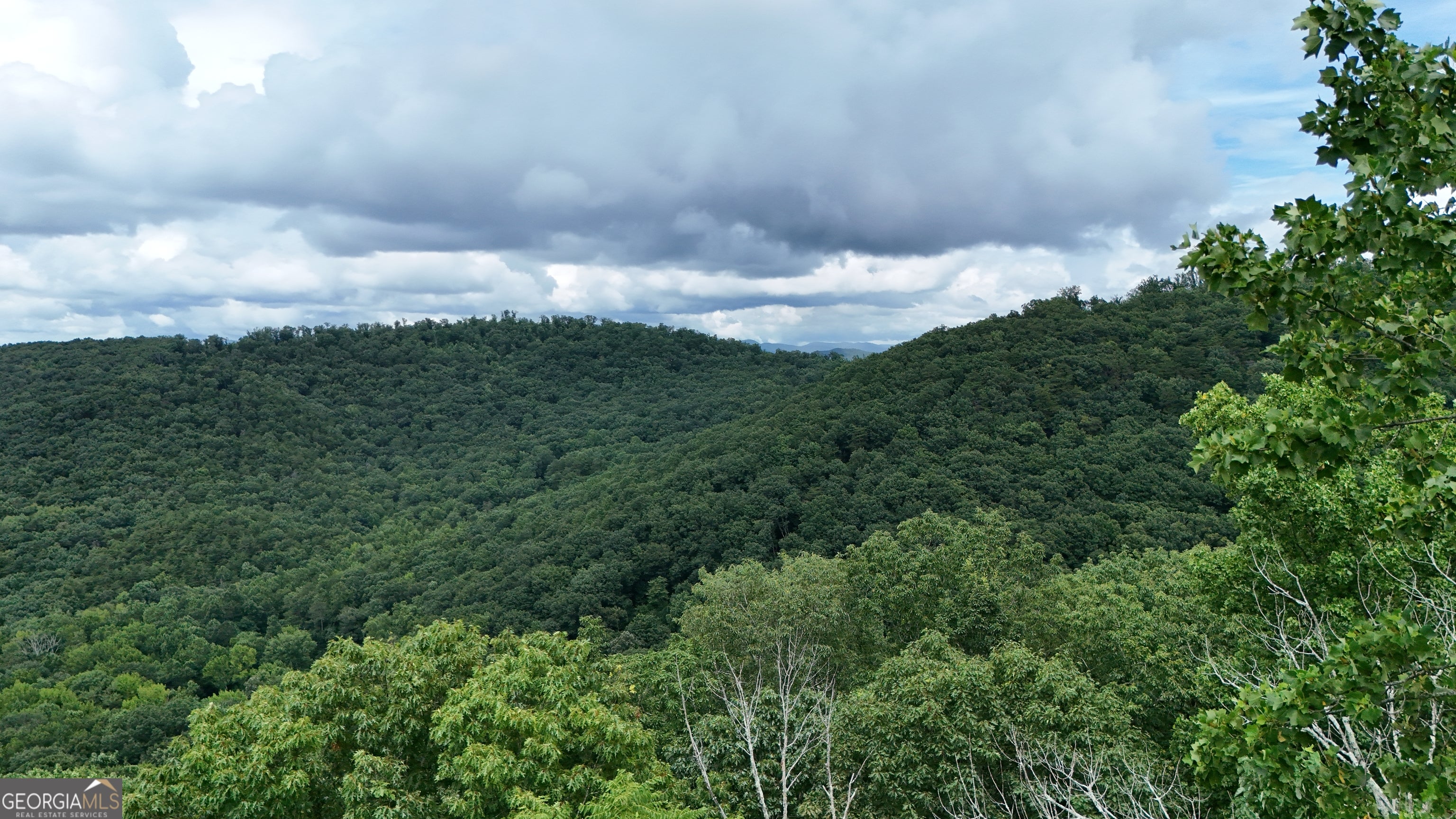 LOT 253 Stone Cliff DR