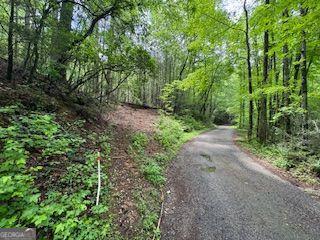 Discover the perfect blend of peace and potential with this stunning 3.8-acre parcel, ideally located between the storybook town of Dahlonega and the tranquil wine country of Frogtown. Tucked away from the noise yet easily accessible, this scenic property offers a rare opportunity to create the home you've always imagined. Set along a county-maintained paved road. With no HOA and zero restrictions, you're free to design and build exactly what you want. A survey and preliminary soil test are available, so you can move forward with confidence. The land features rolling terrain, whispering white pine ridges, and plenty of privacy-perfect for a peaceful getaway or your forever home. Whether you're dreaming of a weekend retreat or a permanent residence, this slice of North Georgia is a true hidden gem. Don't miss your chance to own it! This Land have a recent soil/perc test successfully completed.