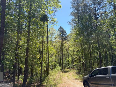 Photo of 0 Gore Lakes Road, Dallas, GA 30132 (MLS # 10740005)