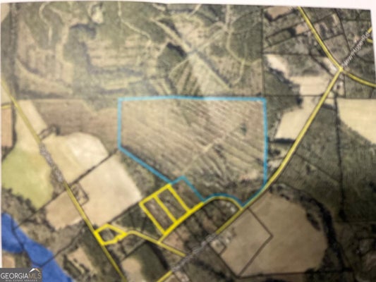 0 BEARDS BLUFF ROAD, ODUM, GA 31555 - Image 5e1ec2610f8a1bda502590b09bfb7cd0/1958902190