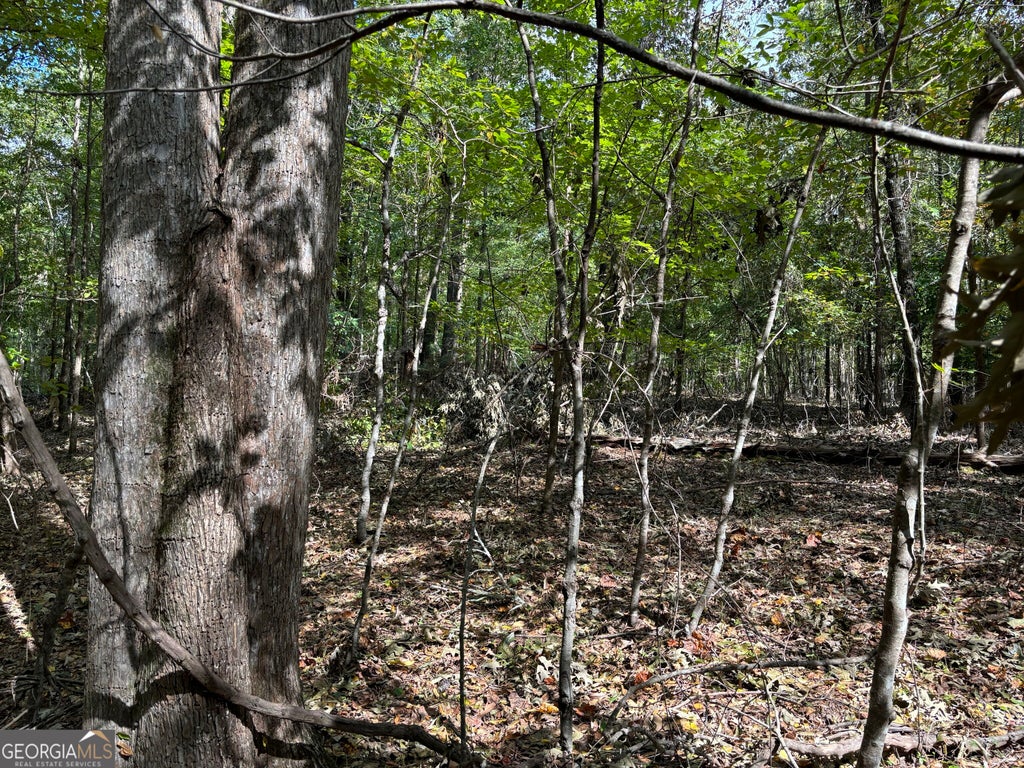 Photo of 0 N Pointe Drive, Tignall, GA 30668 (MLS # 10837139)
