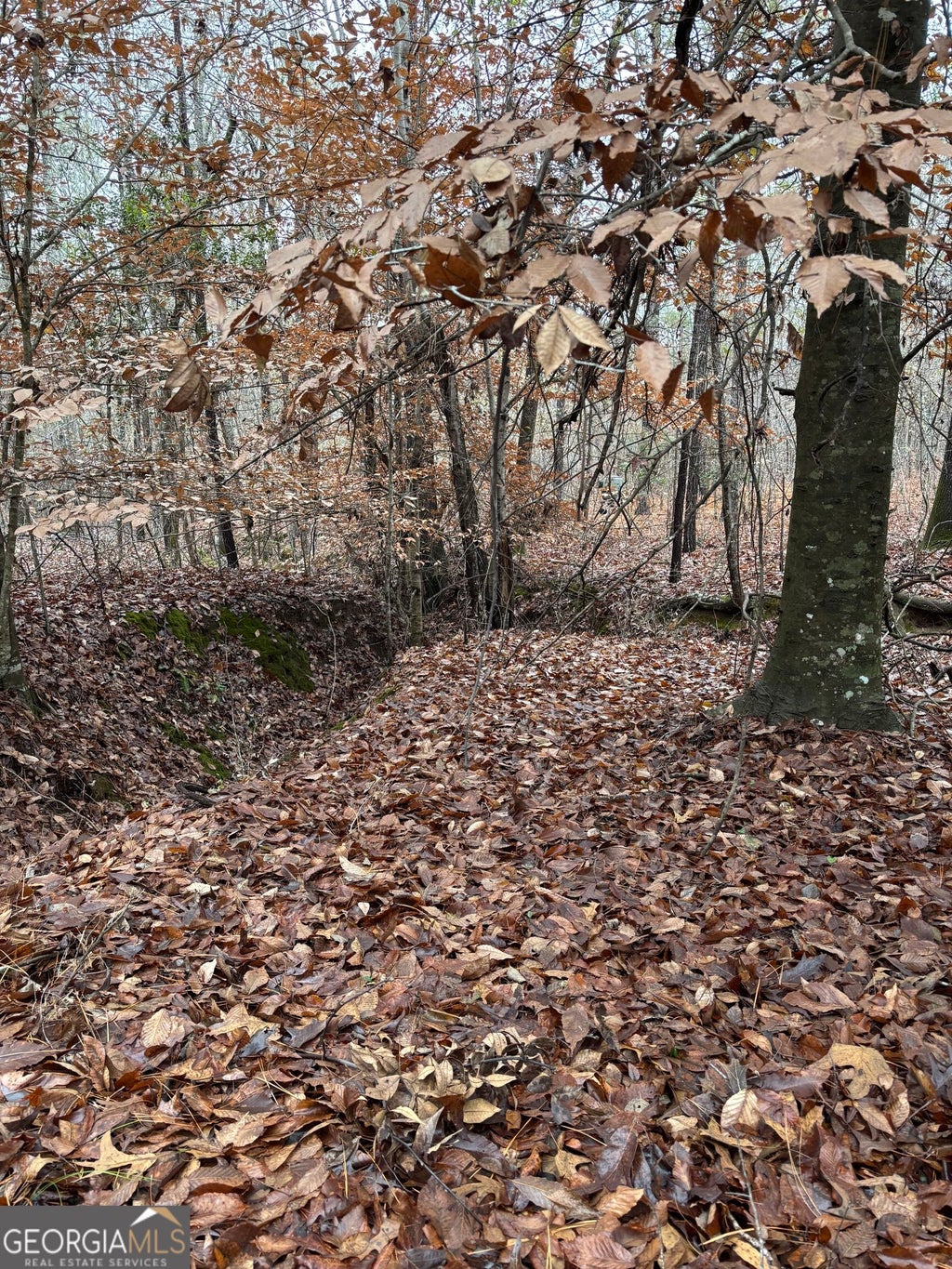 Photo of 0 N Pointe Drive, Tignall, GA 30668 (MLS # 10837139)