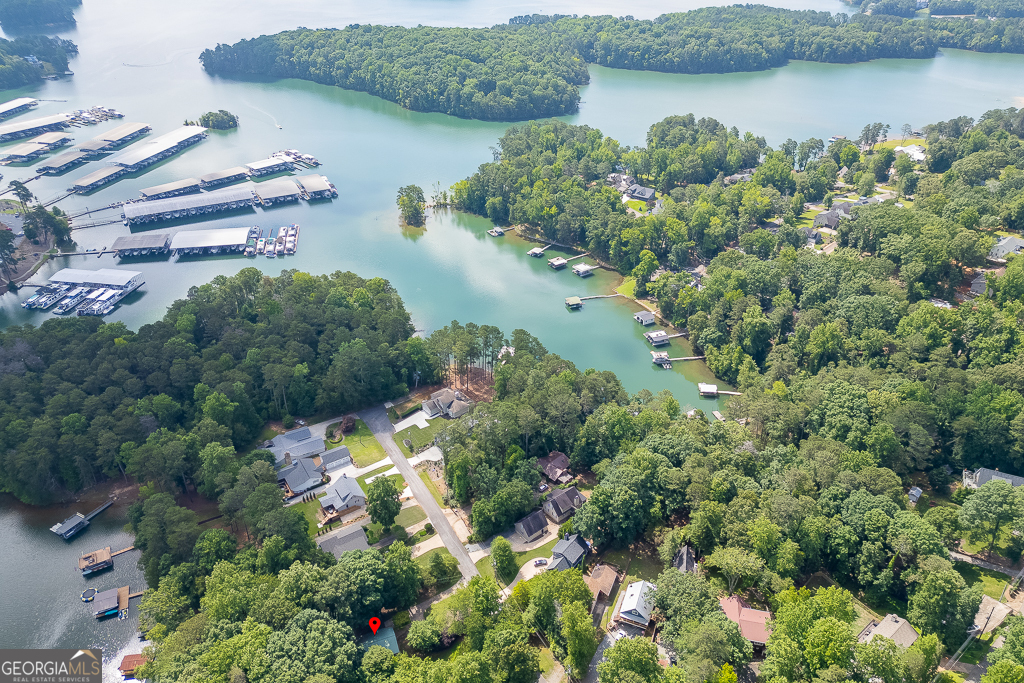 Lake Lanier - Residential