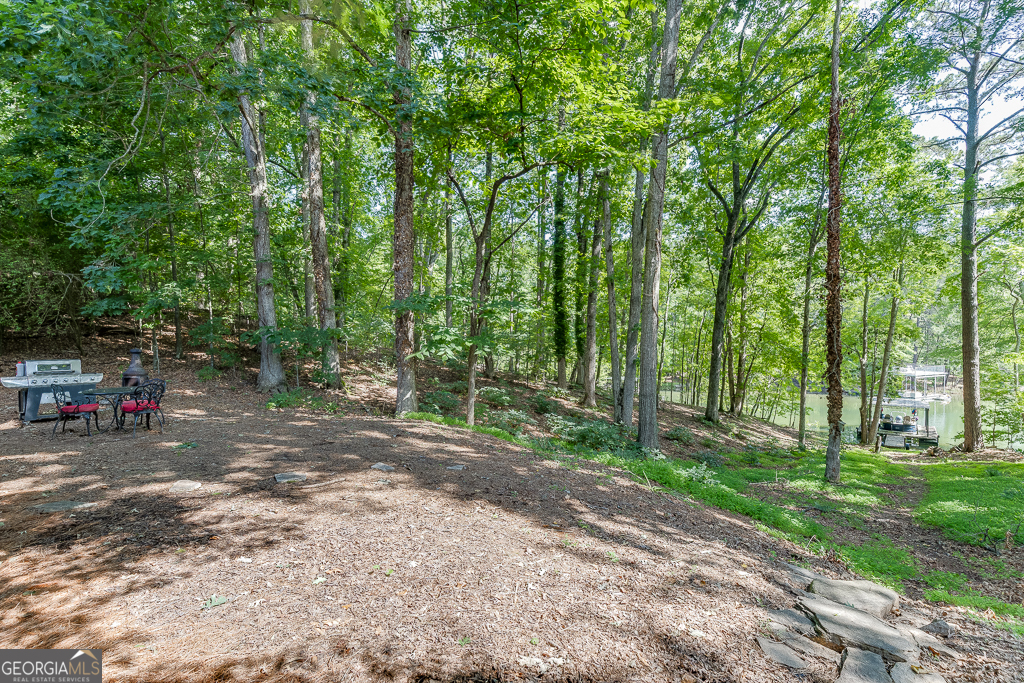 Lake Lanier - Residential