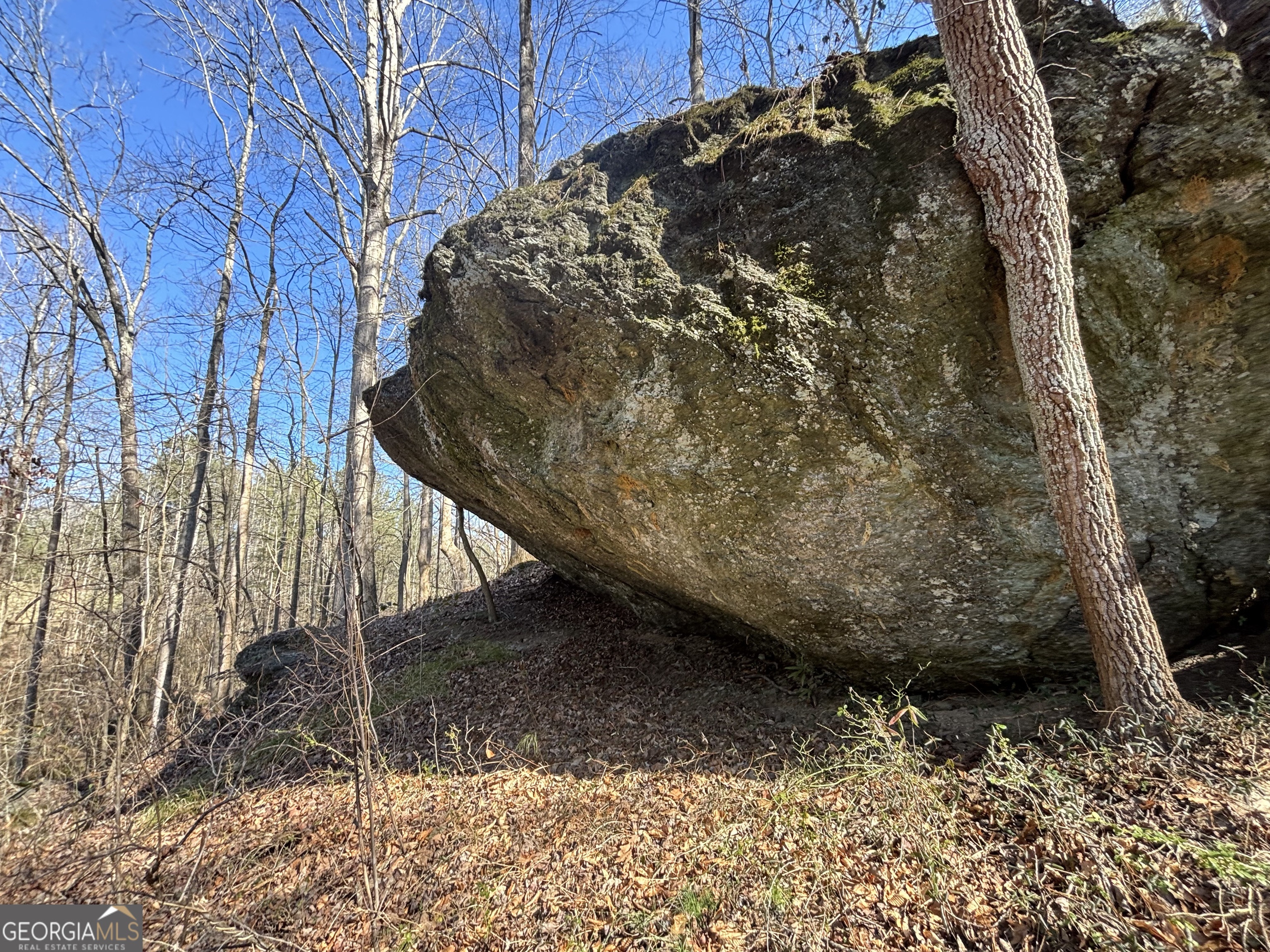 10220 Reinhardt College PKWY LOT #6