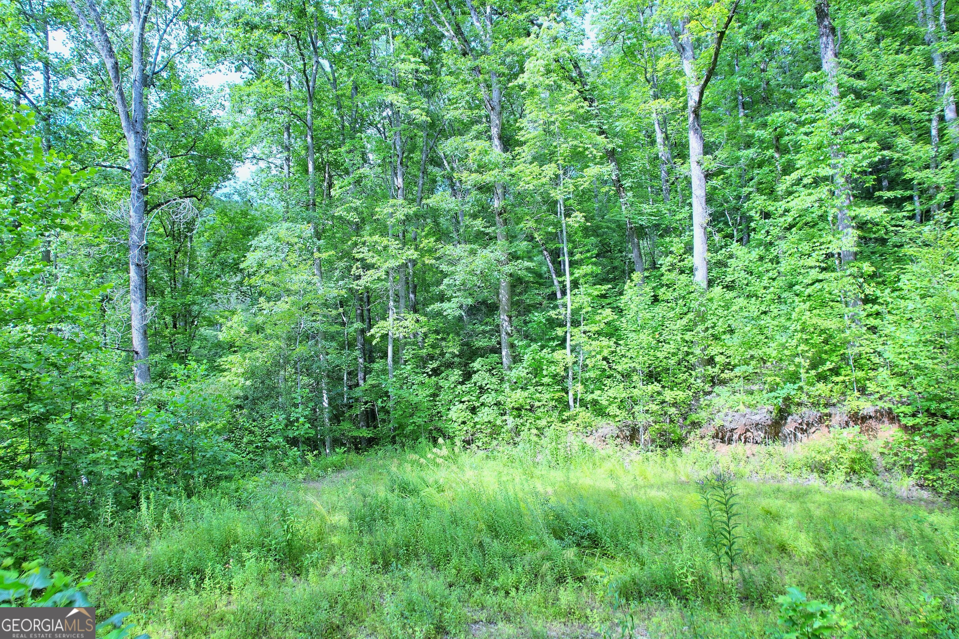 Tiger, Georgia 30576, United States, ,Land,Active,118512