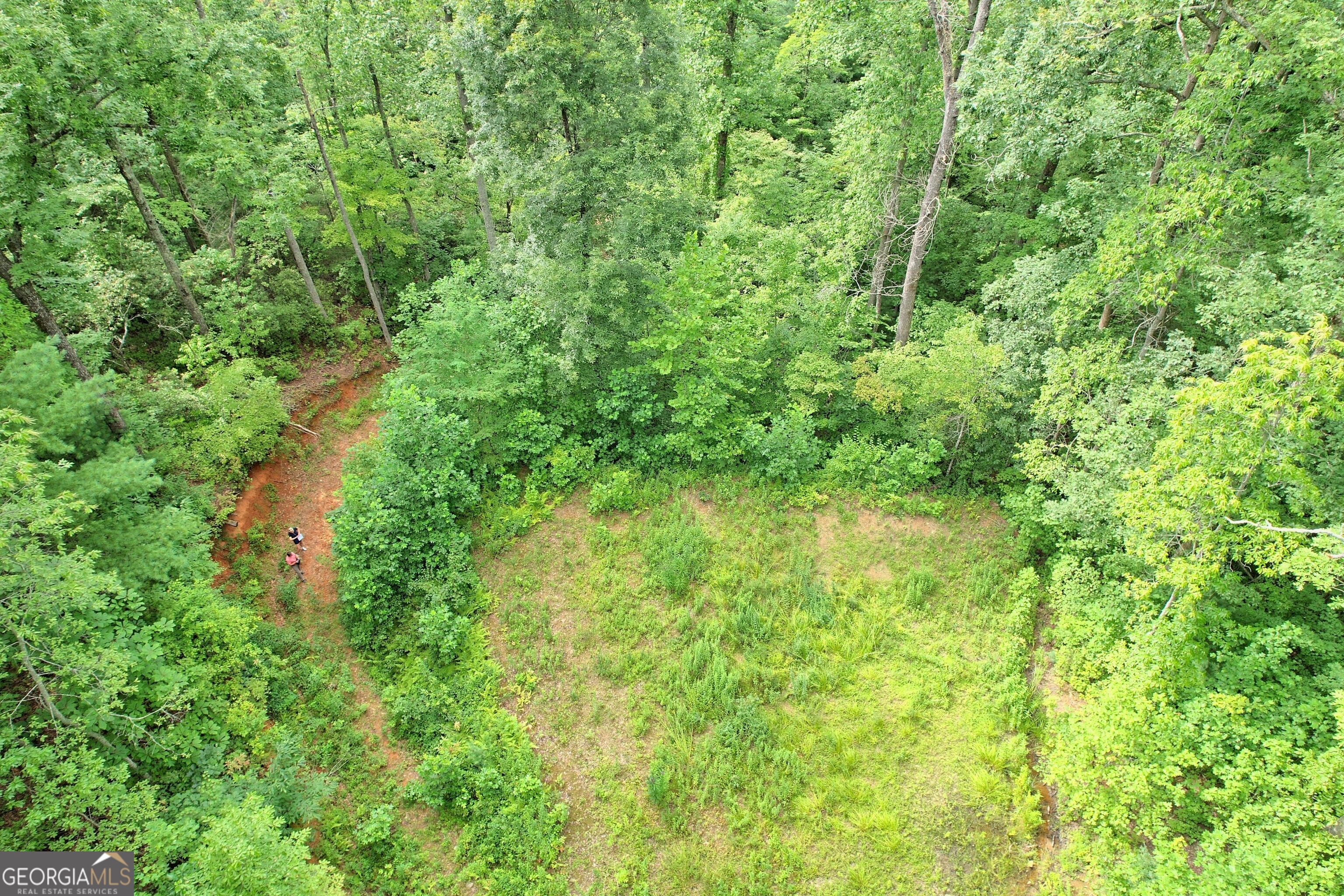 Tiger, Georgia 30576, United States, ,Land,Active,118512