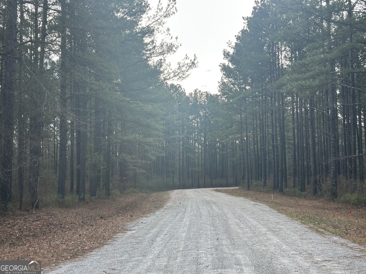 Tract 11 is 10.37 acres with wonderful River Frontage and Views. This tract has a mixture of mature pines and hardwoods with multiple building sites. Magnificent 341 acres with over 1.5 miles of River Frontage subdivided into only 26 tracts. Amazing, hard-to-find, 5-acre to 30+ acre tracts of very desirable land. Choices of settings that range from riverfront to mature hardwood tracts and more. There is something to suit everyone's dream spot. RiverSong is truly a "touch of country" very close to the City of Carrollton GA. This property is only minutes from grocery and big box shopping in addition to many choices of dining cuisines. The tranquility of this spacious, rural property is truly unmatched. These tracts do NOT have an HOA, only community standards to help protect your investment. https://docs.google.com/spreadsheets/d/1p8qDjuVq0S3at025MISqYE959jXuMTCCiy4l3NVsfpA/edit?usp=sharing
