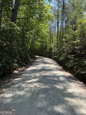 CRUMLEY CREEK RD 2, SAUTEE NACOOCHEE, GA 30571 - Image 5e4bc9d51183ee6ae598d33cb0140cb9/4240660374