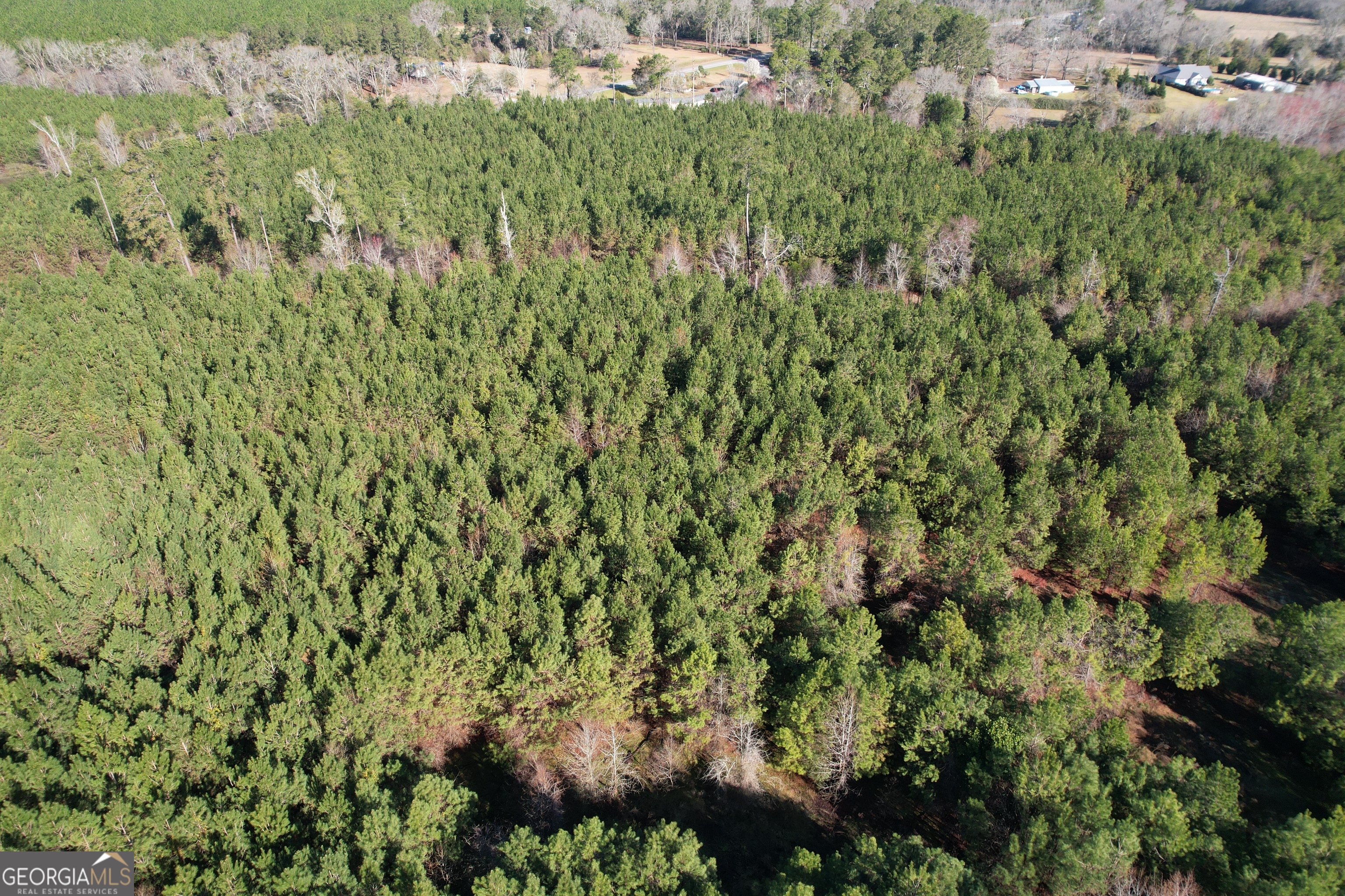 0 Burtons Ferry HWY
