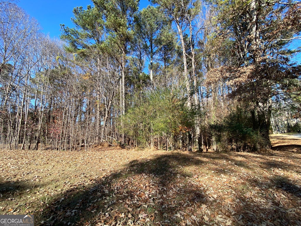 Photo of 0 Black Oak Trail, Woodstock, GA 30189 (MLS # 10267626)