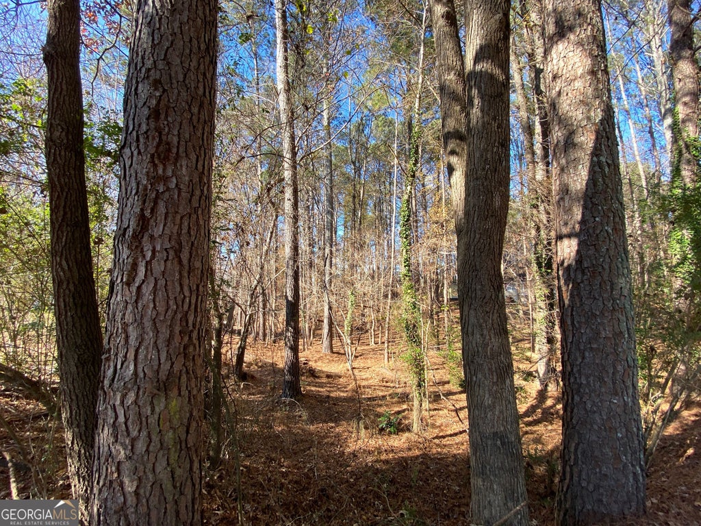 Photo of 0 Black Oak Trail, Woodstock, GA 30189 (MLS # 10267626)
