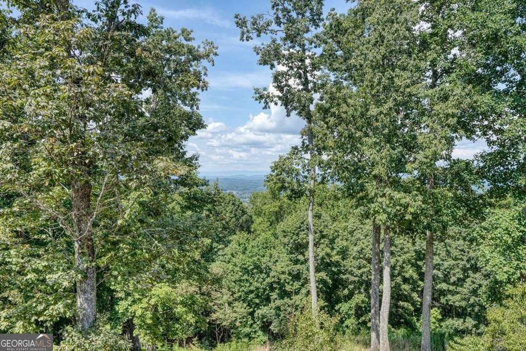 310 Hickory Frk, Blairsville, GA, 30512, USA, 4 Bedrooms Bedrooms, ,6 BathroomsBathrooms,Residential,Pending,310 Hickory Frk,10789732