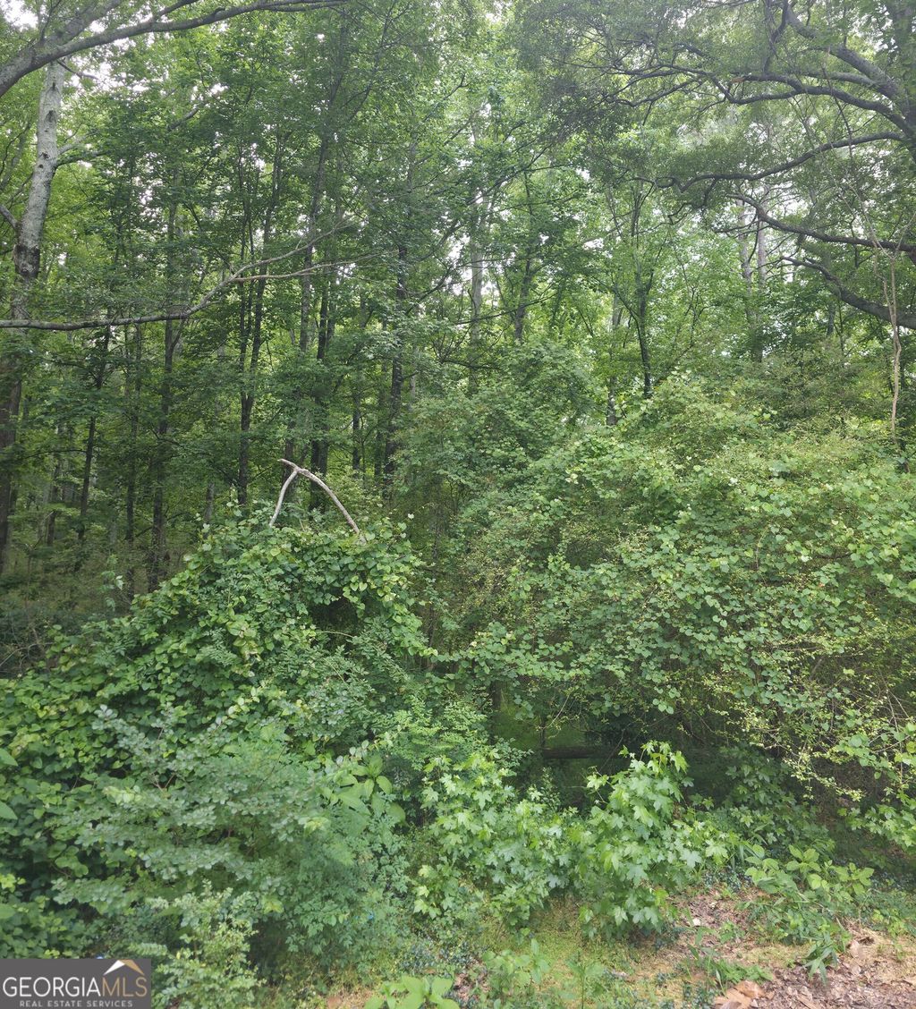 Photo of 270 Cora Lou Lane, Winder, GA 30680 (MLS # 10769062)