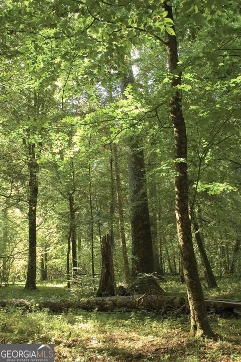 Photo of 0 SW Troupe Smith Road, Conyers, GA 30094 (MLS # 10720670)