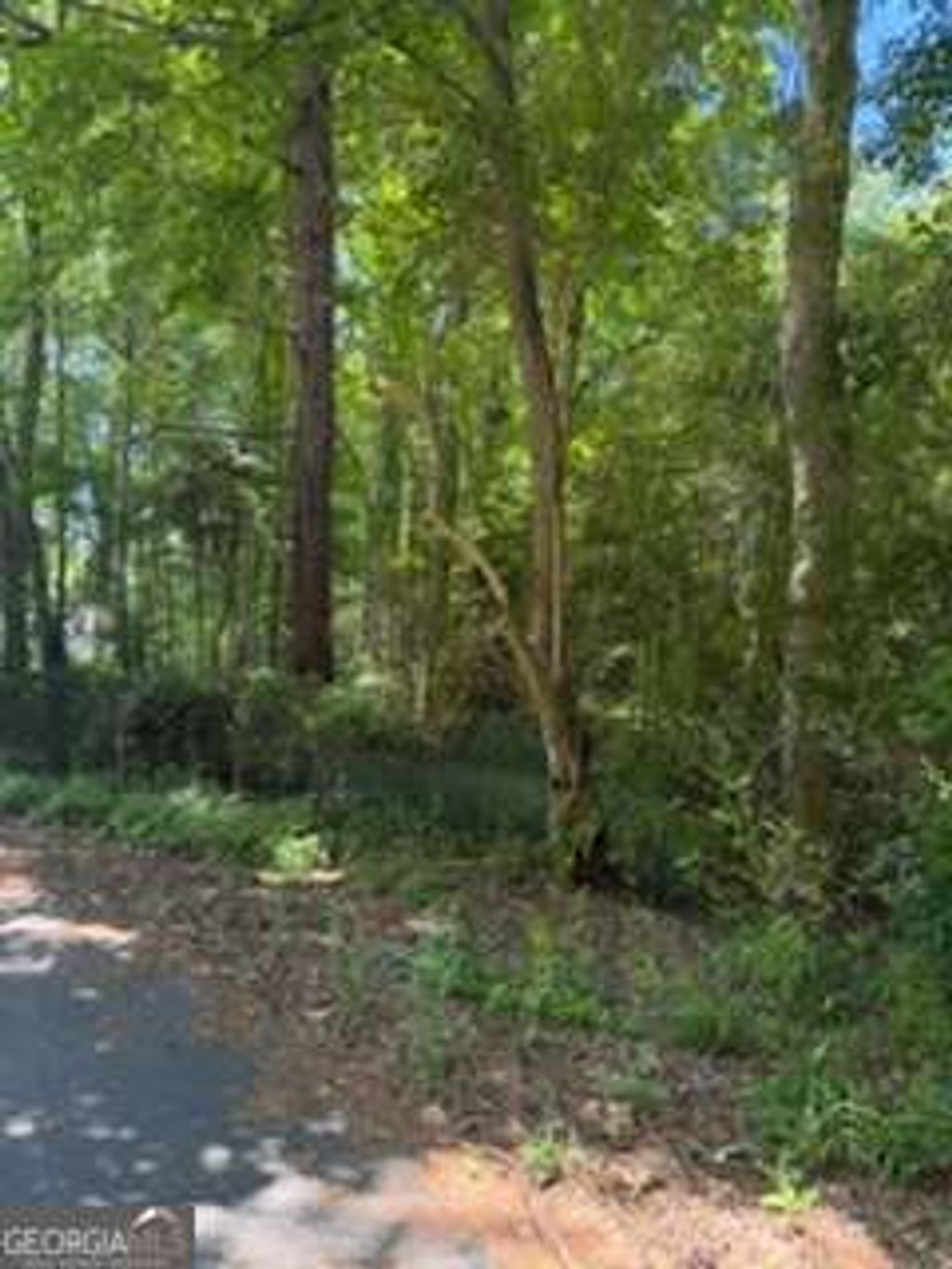 Photo of 0 Windsor Way, Newnan, GA 30263 (MLS # 10764917)