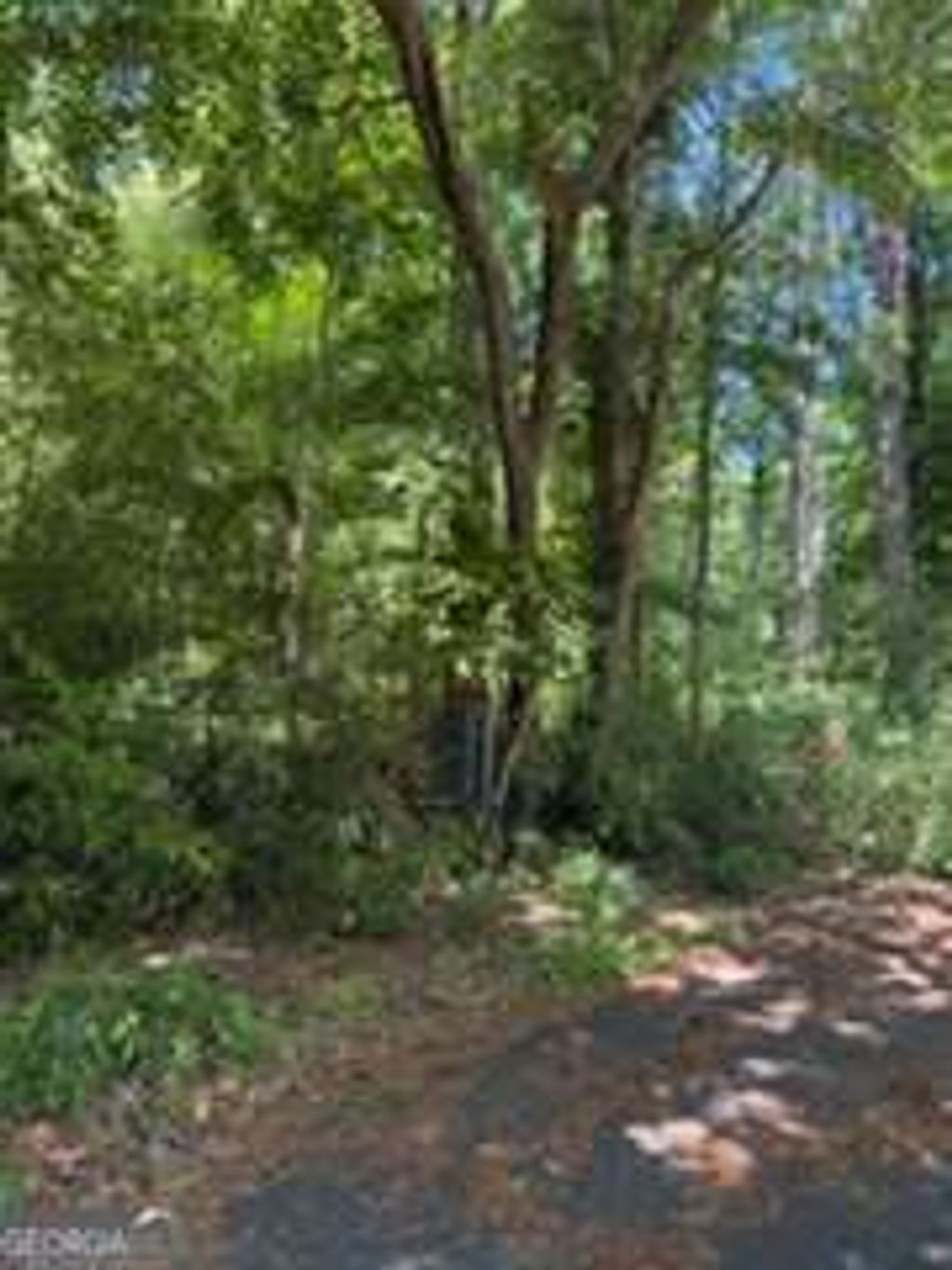 Photo of 0 Windsor Way, Newnan, GA 30263 (MLS # 10764917)
