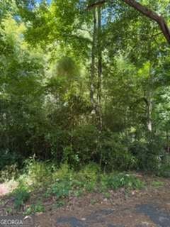 Photo of 0 Windsor Way, Newnan, GA 30263 (MLS # 10764917)
