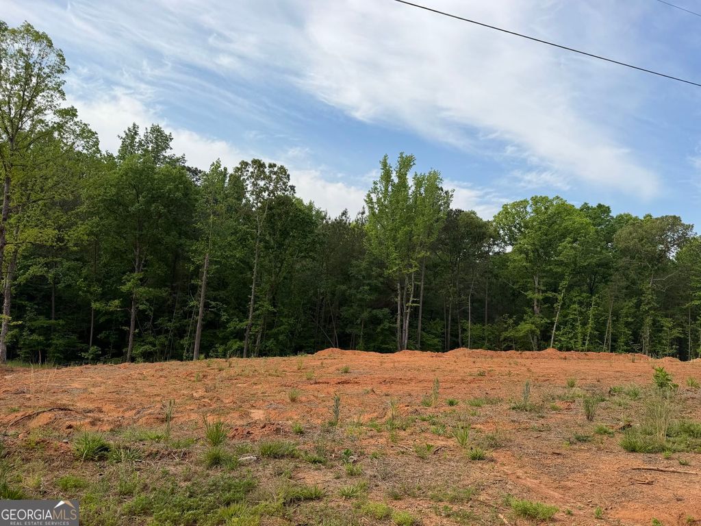 Photo of 1492 English Road, Forsyth, GA 31029 (MLS # 10739909)