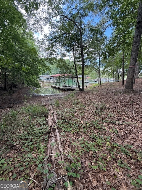 0 LOT 3 Reed Creek PT